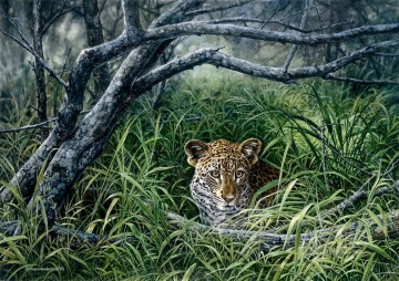 léopard 16 Peinture à l'huile